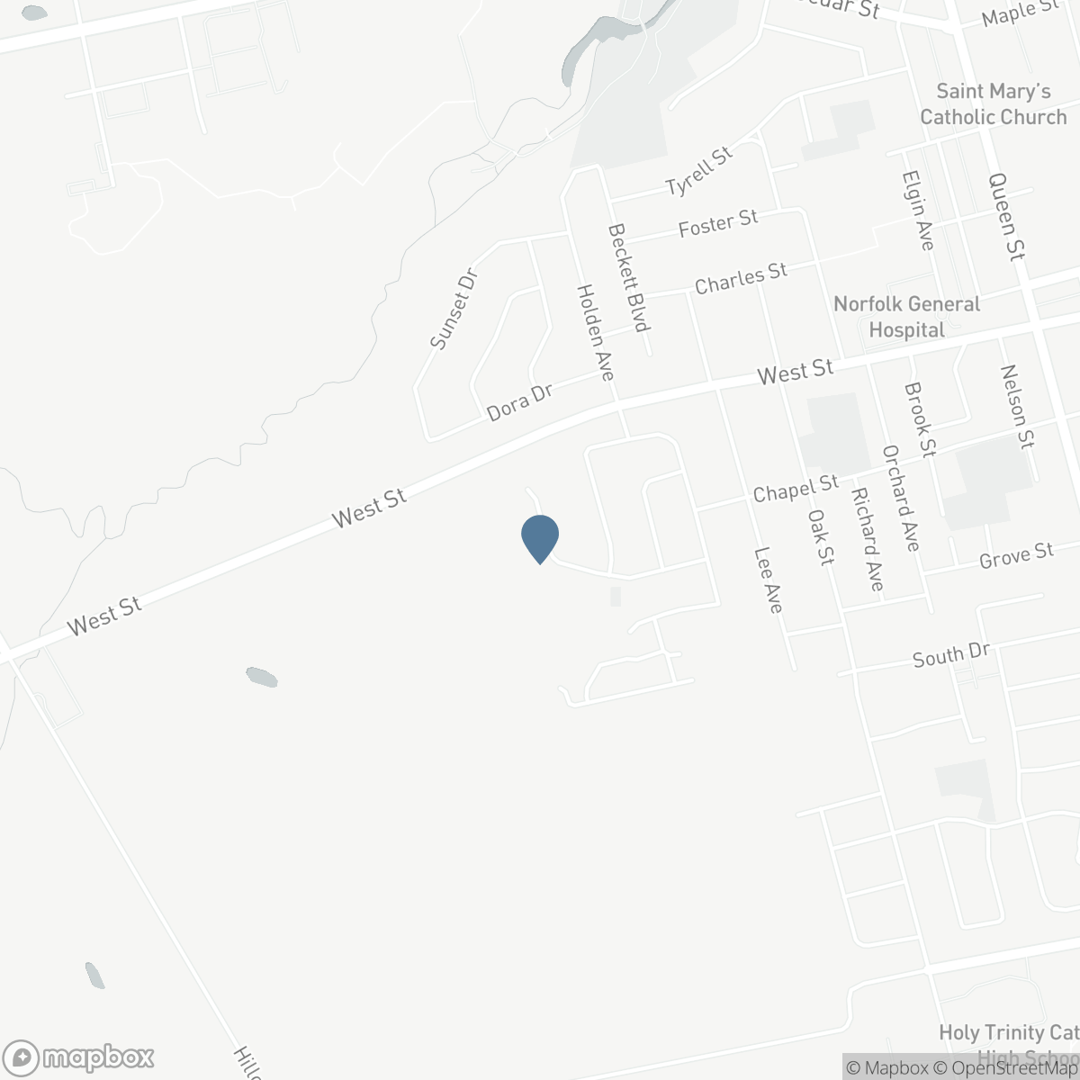 38 VIRGINIA Avenue, Simcoe, Ontario N3Y 5M4